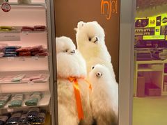 -国药中服免税(北京坊店)