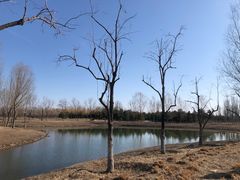 -东郊湿地公园