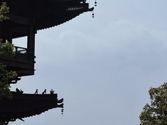 -杭州半山国家森林公园