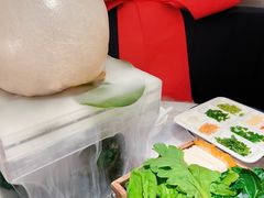 -汤城·料青山