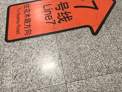 -杨高南路(地铁站)