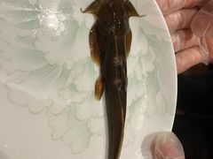 -宽坐·友谊宾馆店