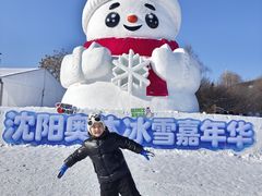 -沈阳奥体冰雪嘉年华