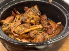 -斯丹姜母鸭·古法干香(涂门街总店)