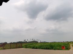 -空港花田景区