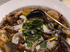 -花溪雨·森林餐厅(石基店)