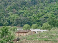 -广州市石门国家森林公园
