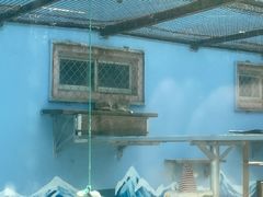 -青藏高原野生动物园