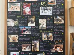 -小时光咖啡馆(开森度假森林店)
