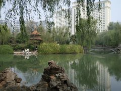 -西苑公园