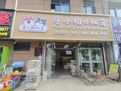 -唐小姐の私宠·宠物洗护美容·撸猫馆·购宠(周浦万达旗舰店)