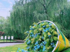-同里国家湿地公园
