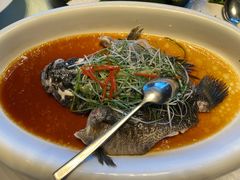 -上海金桥红枫万豪酒店-万豪中餐厅