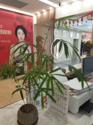 -归位瑜伽＆普拉提馆