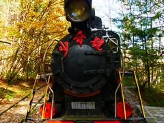 -五营红松林海景区