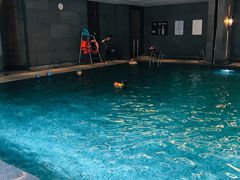 -上海崇明金茂凯悦酒店