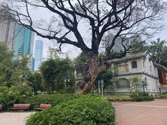 -九龙公园