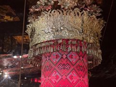 -吃饭皇帝大土家民族菜(正大广场店)