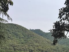 -句容茅山景区