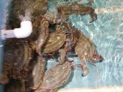 android_upload_pic-拉完海鲜大排档(温岭店)