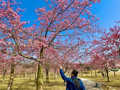-风云岭森林公园