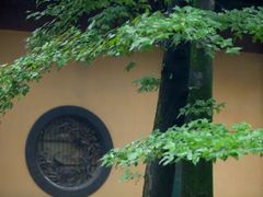 -梨园照相馆·签证照·身份证护照回执采集拍摄网点(北京店)