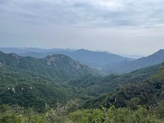 -大岭沟猕猴桃谷风景区