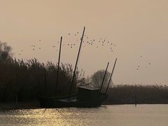 -苏州太湖湖滨国家湿地公园