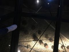 -元代水闸遗址博物馆