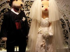 -济州岛泰迪熊博物馆