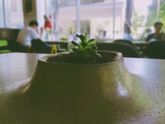 大堂-今日艺术汇书店