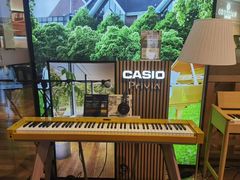 -柏斯琴行(汾阳店)