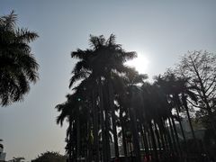 -金砂公园