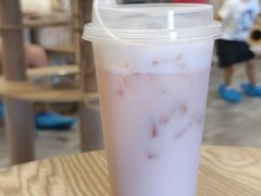 -楼上猫咖(罗湖店)
