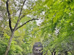 -杭州植物园