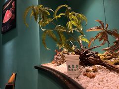 -五星桥原切肥牛火锅(怀德桥店)