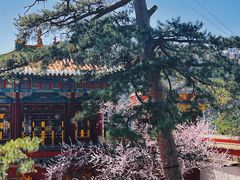 -普陀宗乘之庙