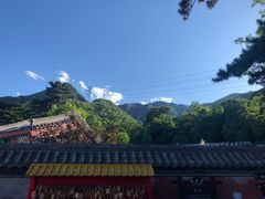-阳台山自然风景区