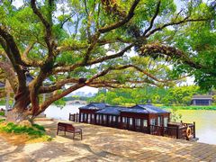 -江心屿景区