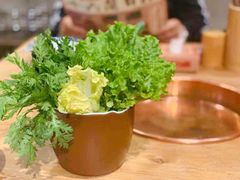 -十六蒲(桂林路店)