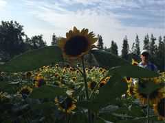 -艾溪湖湿地公园