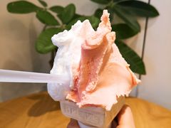 -柠檬车露(卖草地店)