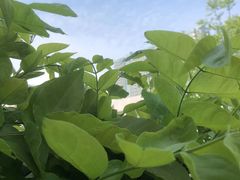 -瓦舍茶馆(聚源路店)