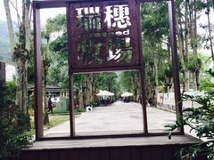 -瑞穗牧场