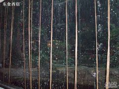 Picture 112-绿色时代大酒店