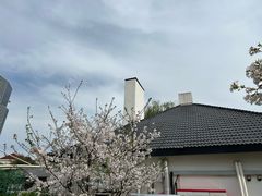 -新虹桥中心花园