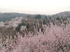 -北京西山国家森林公园