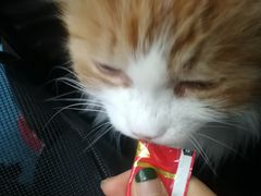 -北京赛佳动物医院