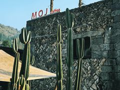 -MOJ coffee(瓯海泽雅水碓坑店)