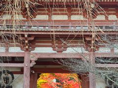 -醍醐寺